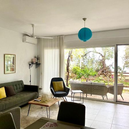 Olives Terrace B2A5 Apartment Dhërmi エクステリア 写真